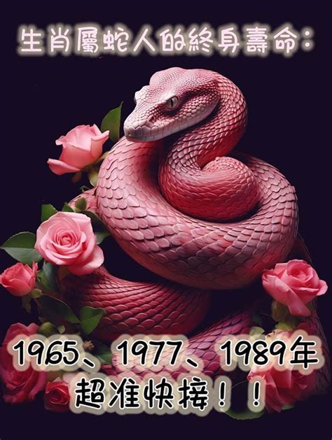 1989年屬蛇